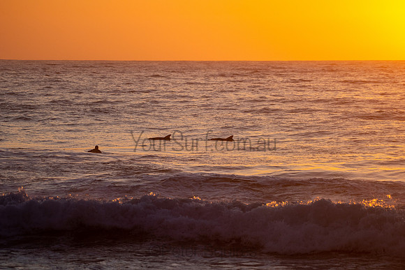 Whale_Beach_200916_06-01-19_0046