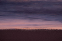 Whale_Beach_200916_05-28-58_0004
