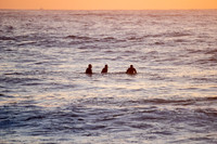 Whale_Beach_200916_06-01-52_0050