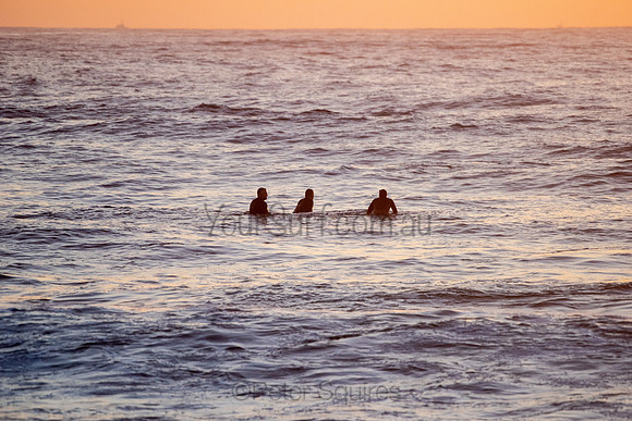 Whale_Beach_200916_06-01-52_0050