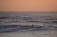 Whale_Beach_200916_06-02-02_0053