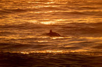 Whale_Beach_200916_06-04-16_0060