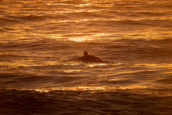 Whale_Beach_200916_06-04-16_0060