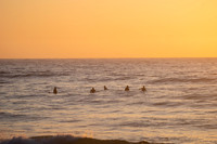 Whale_Beach_200916_06-05-58_0061