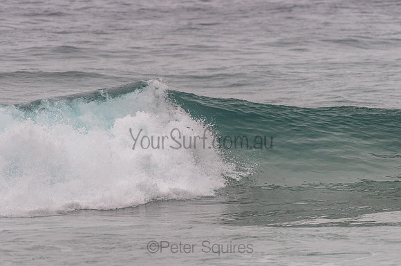 Whale_Beach_200918_16-34-35_0179