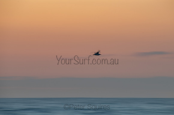 Whale_Beach_200921_05-43-22_0017