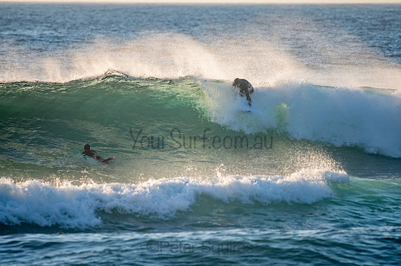 Whale_Beach_200921_06-19-42_0063