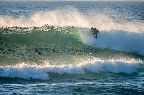 Whale_Beach_200921_06-19-42_0064