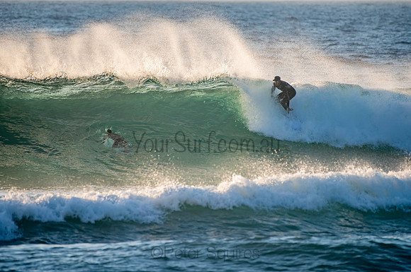 Whale_Beach_200921_06-19-42_0065