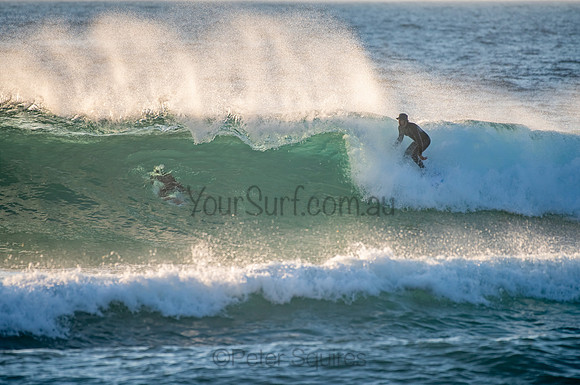 Whale_Beach_200921_06-19-43_0066