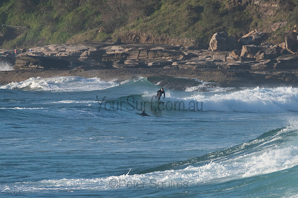 Whale_Beach_200921_06-36-03_0091
