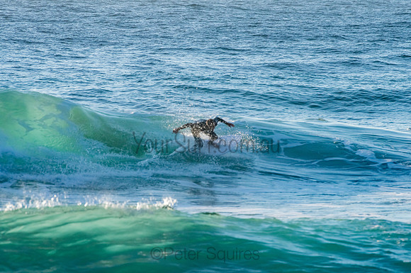 Whale_Beach_200921_06-44-52_0159