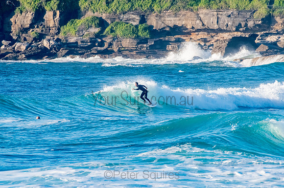 Whale_Beach_200921_06-47-38_0169