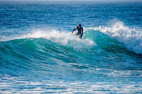 Whale_Beach_200921_07-19-10_0242