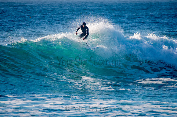 Whale_Beach_200921_07-19-11_0243
