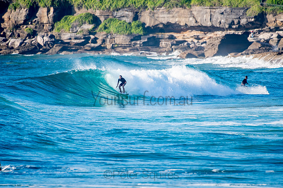 Whale_Beach_200921_07-31-09_0311