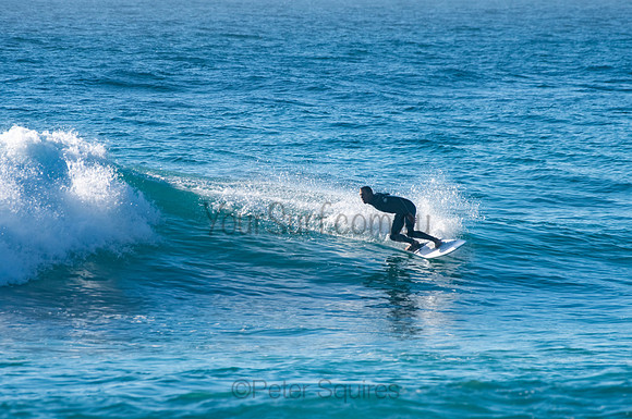 Whale_Beach_200921_07-39-02_0334