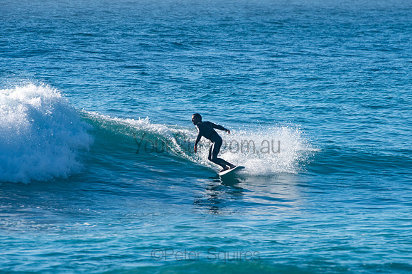 Whale_Beach_200921_07-39-03_0337
