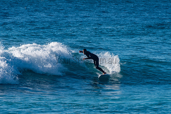 Whale_Beach_200921_07-39-07_0341