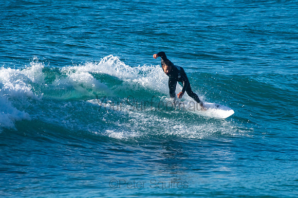 Whale_Beach_200921_07-39-17_0352