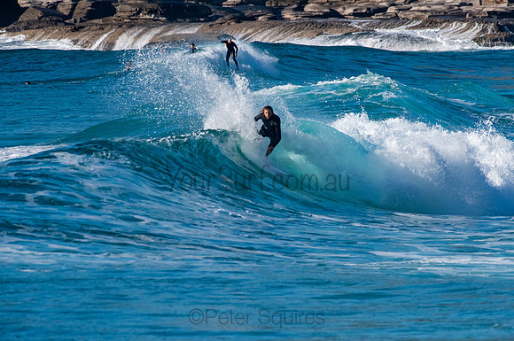 Whale_Beach_200921_07-44-12_0375