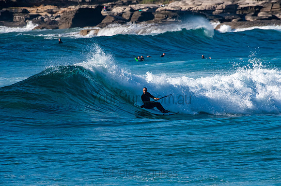 Whale_Beach_200921_07-44-44_0382