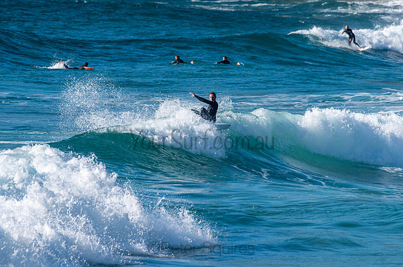Whale_Beach_200921_07-51-23_0419