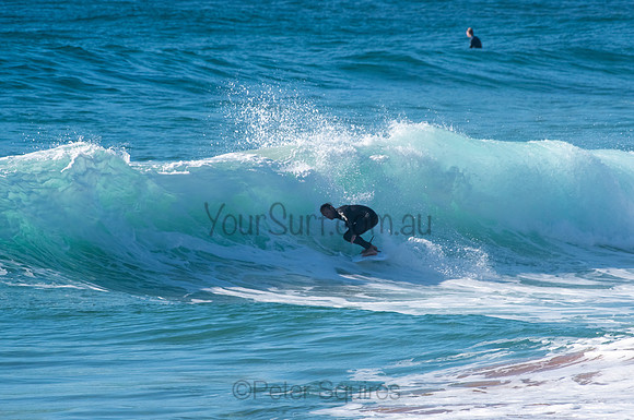 Whale_Beach_200921_08-00-44_0436