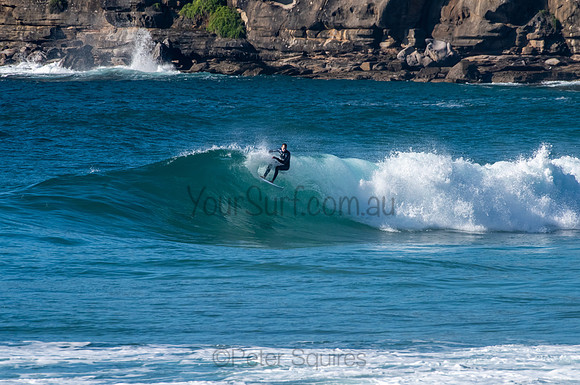 Whale_Beach_200921_08-01-46_0442