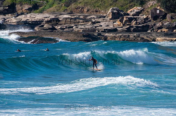 Whale_Beach_200921_08-05-36_0446