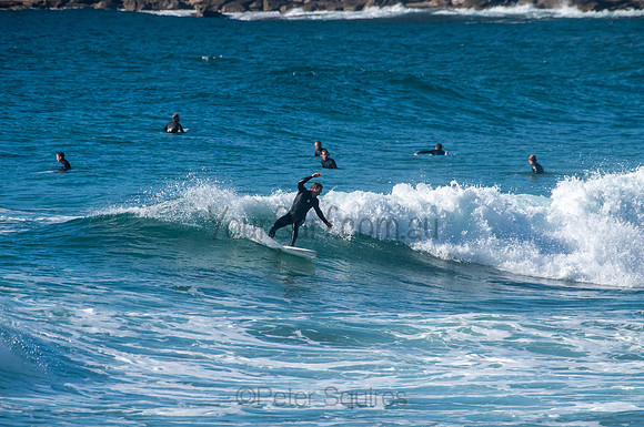 Whale_Beach_200921_08-07-27_0453