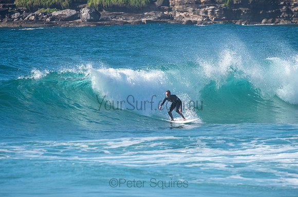 Whale_Beach_200921_08-10-38_0464