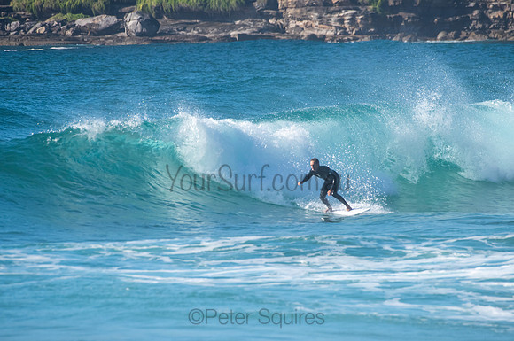 Whale_Beach_200921_08-10-39_0465