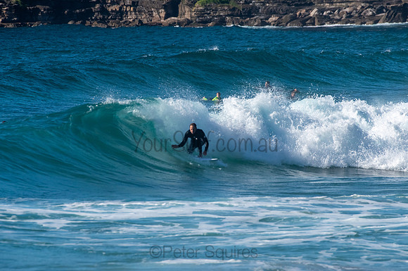 Whale_Beach_200921_08-10-41_0471