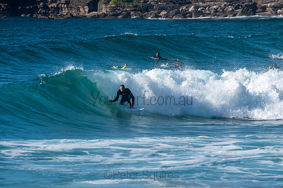 Whale_Beach_200921_08-10-41_0472