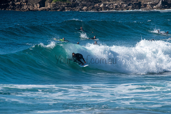 Whale_Beach_200921_08-10-42_0474