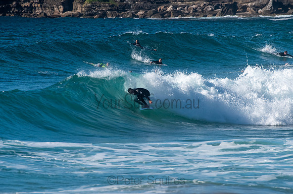 Whale_Beach_200921_08-10-42_0475