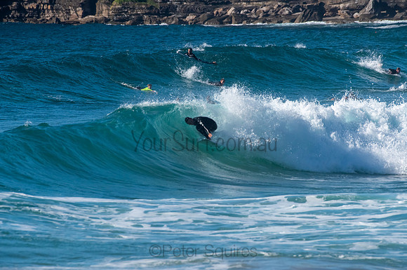 Whale_Beach_200921_08-10-42_0476