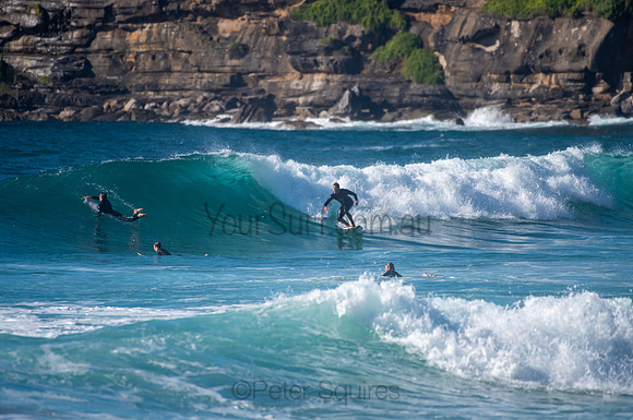 Whale_Beach_200921_08-15-53_0487