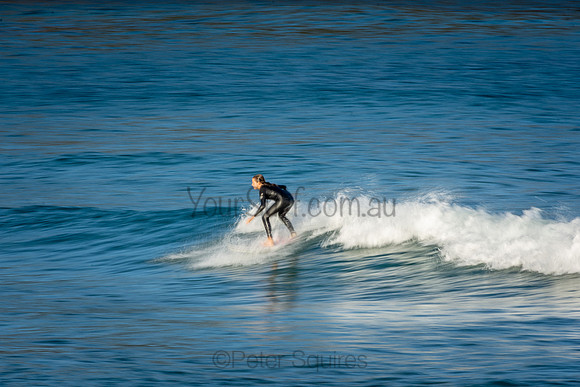 Avalon_200922_16-41-15_0769