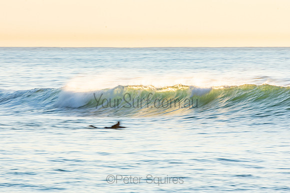 Newport_200925_06-04-46_0141
