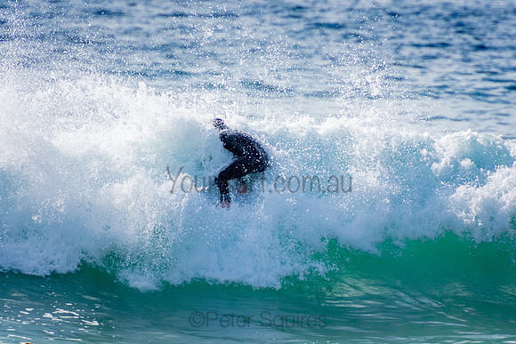 Whale_Beach_200929_08-16-52_0302