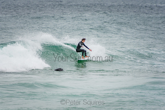 Avalon_200930_11-37-37_0395