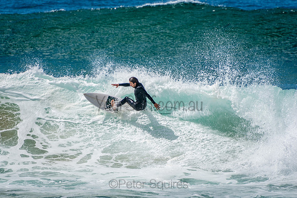 Avalon_Beach_201001_10-37-03_0207