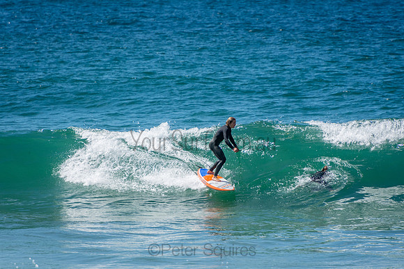 Avalon_Beach_201001_10-56-07_0352