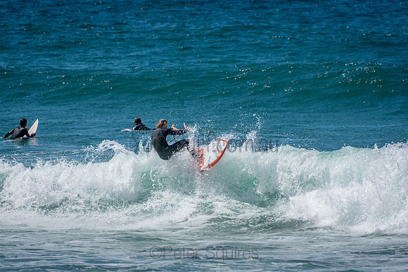 Avalon_Beach_201001_10-58-34_0387