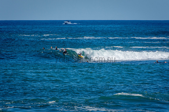 Avalon_Beach_201001_11-06-02_0515
