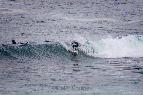 Avalon_201001_06-03-06_0004