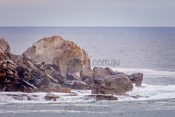 Avalon_201001_06-08-10_0022