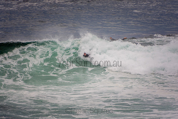 Avalon_201001_06-49-57_0179